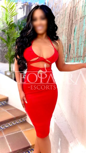 escort-morena-madrid-logo-1
